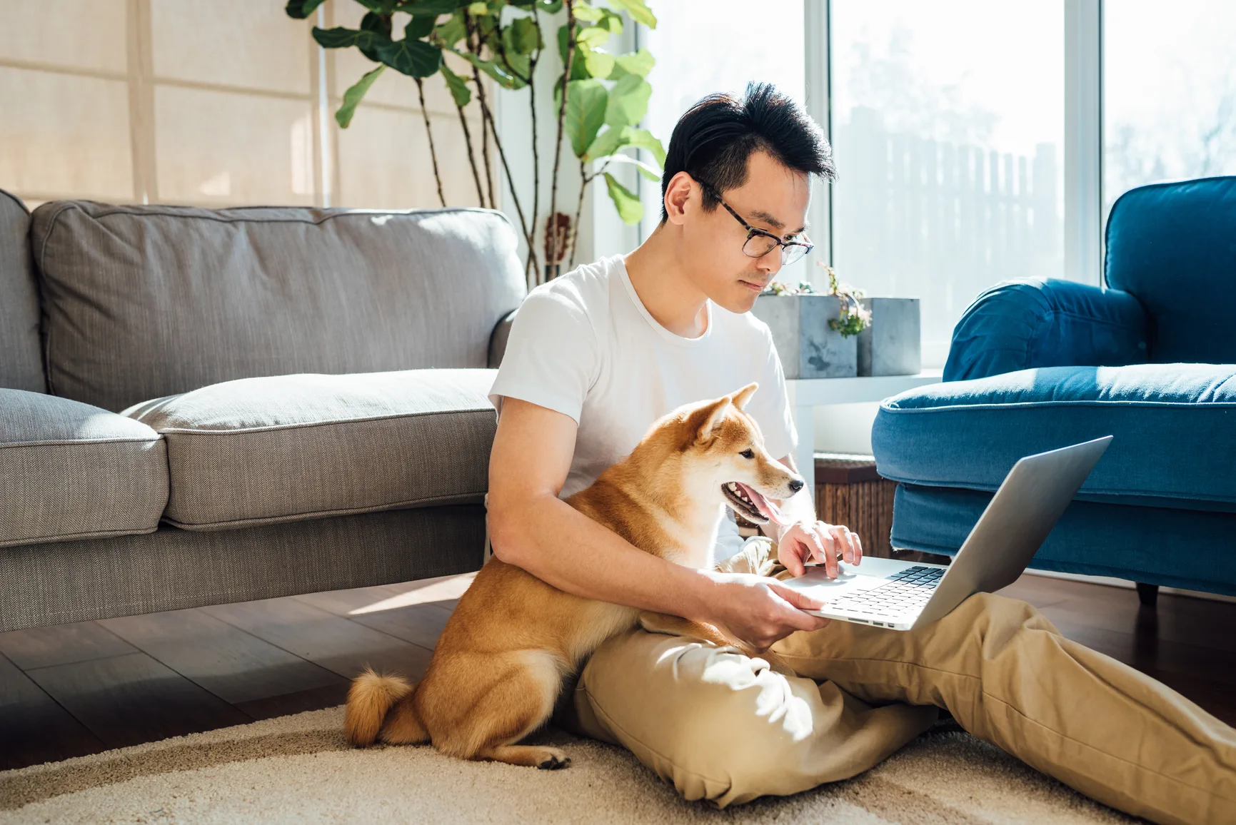 Are At-Home Blood Tests Accurate? Blood Type Tests Explained